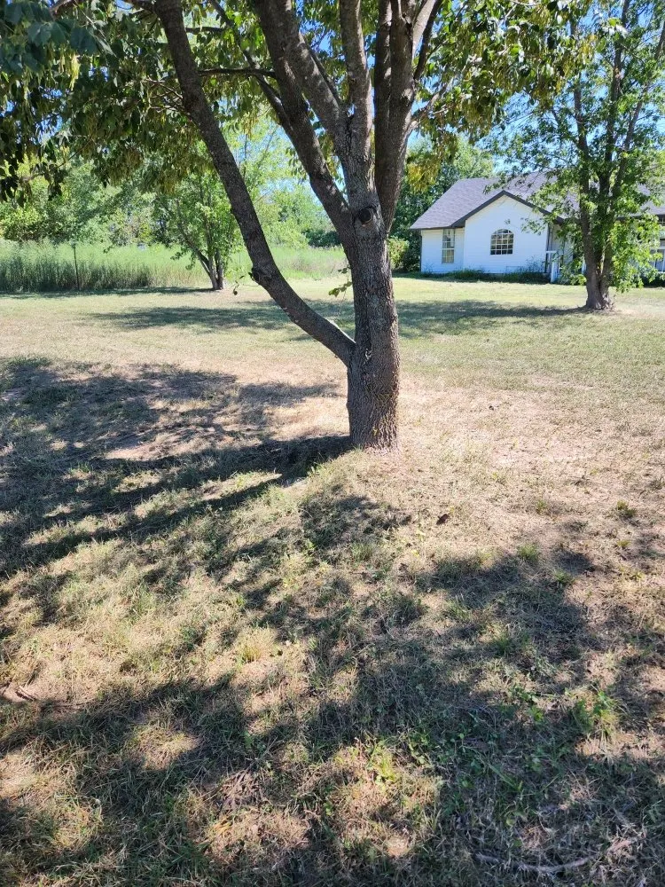 Affordable landscaping services with custom design across Carl Junction, MO - S&J Lawn care