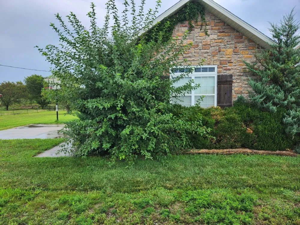 Expert lawn care service experts serving Carl Junction, MO - S&J Lawn care