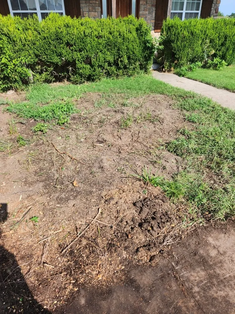 Affordable landscaping services near you in Carl Junction, MO by S&J Lawn care