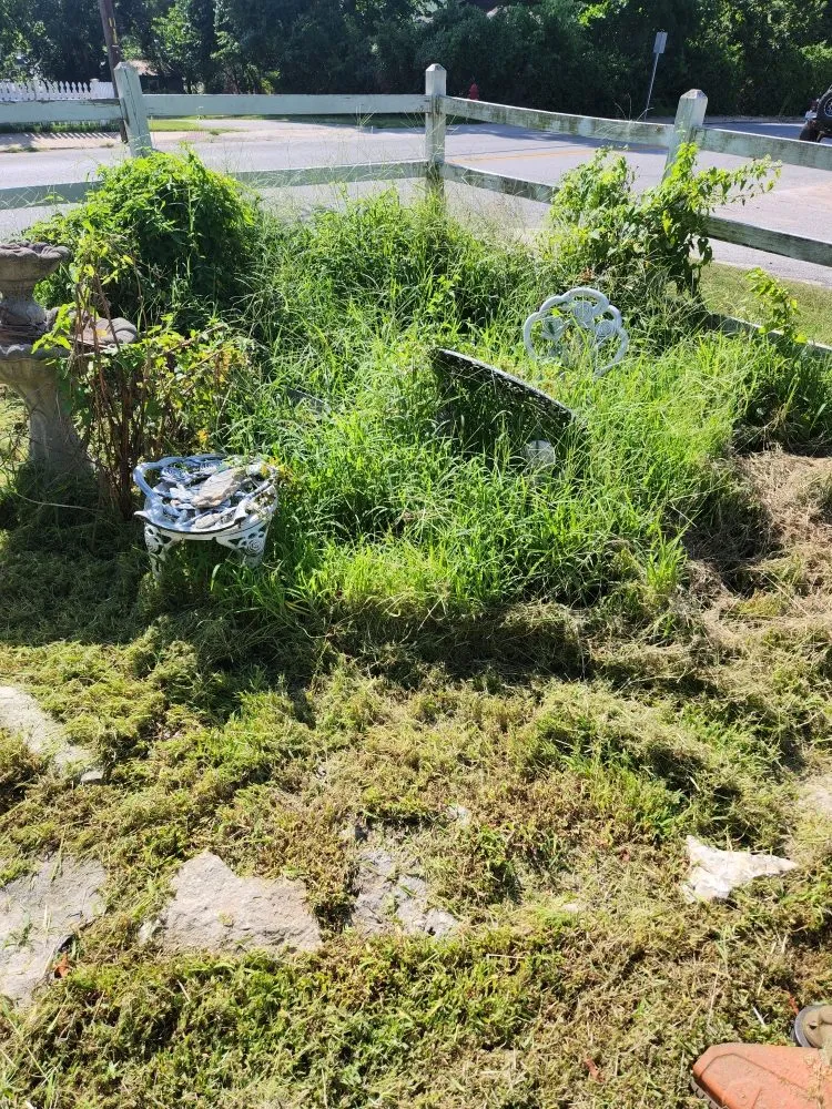 Custom yard maintenance for beautiful yards across Carl Junction, MO - S&J Lawn care