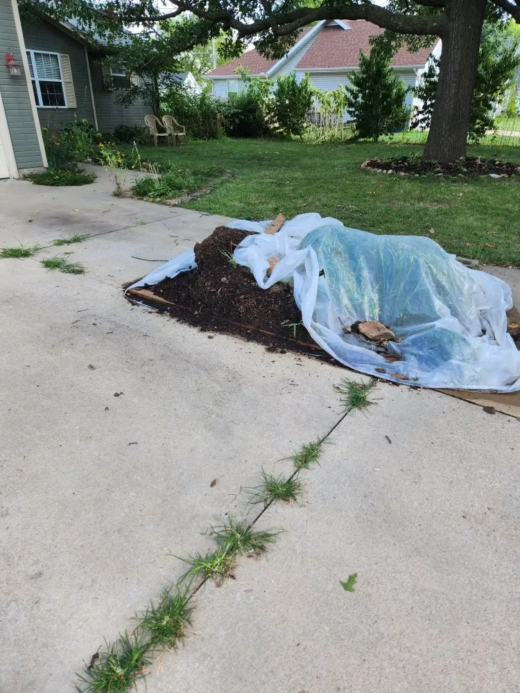 Custom residential landscaping in Carl Junction, MO by S&J Lawn care