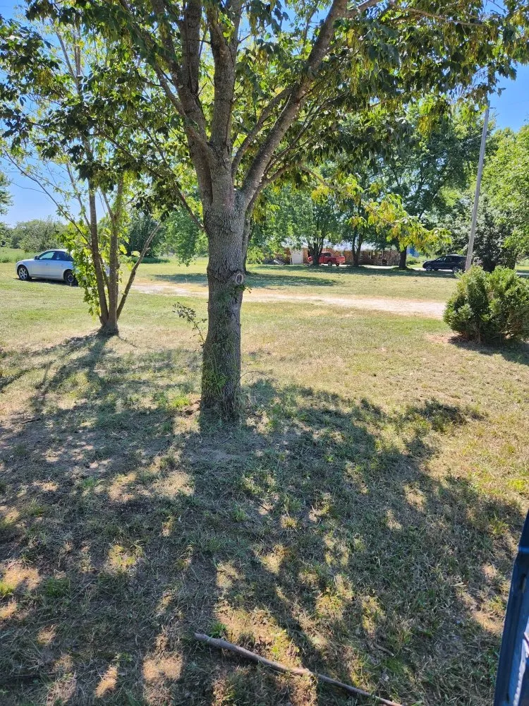 Custom landscaping services in Carl Junction, MO - S&J Lawn care