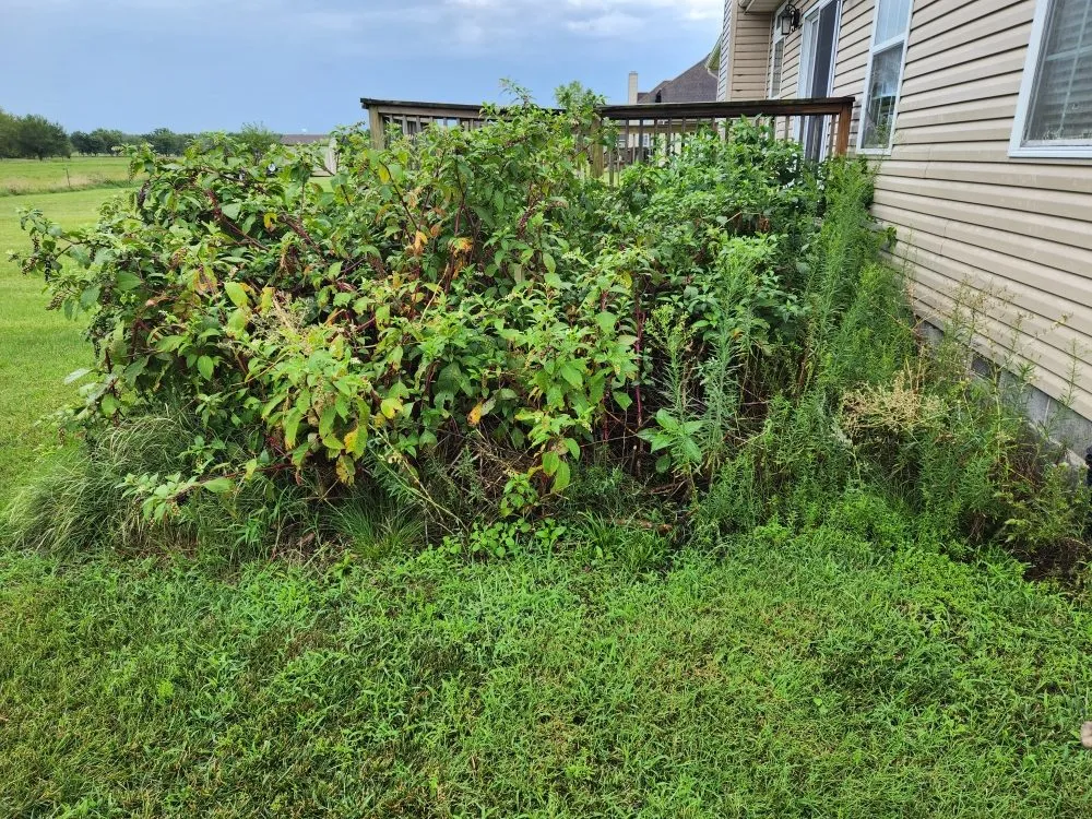 Professional landscaping services for beautiful yards across Carl Junction, MO - S&J Lawn care