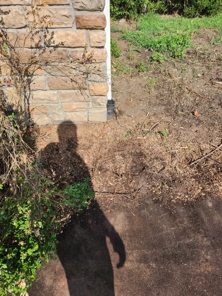 Local landscape design near you in Carl Junction, MO by S&J Lawn care