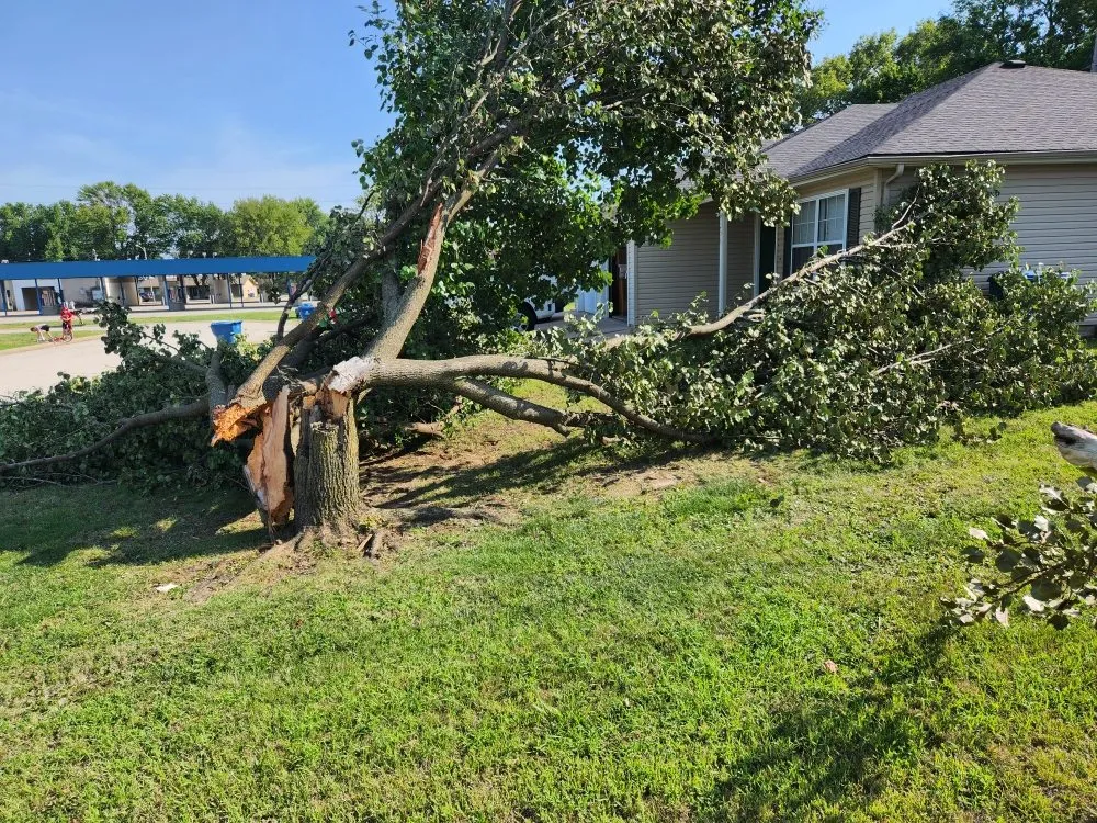 Custom residential landscaping near you in Carl Junction, MO by S&J Lawn care