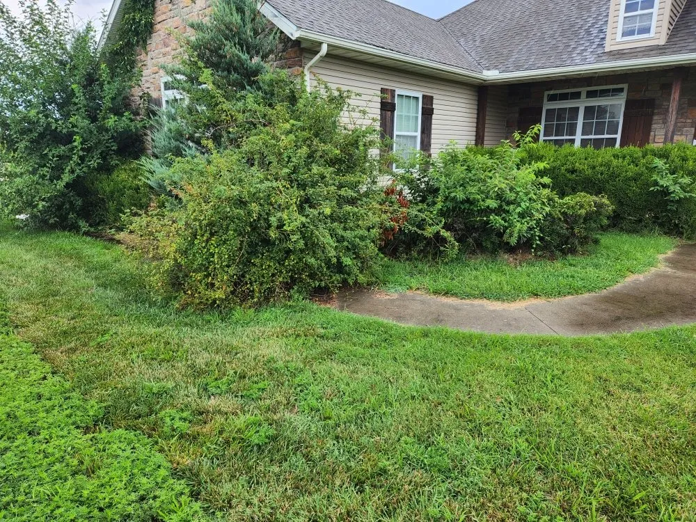 Trusted landscape design for beautiful yards in Carl Junction, MO by S&J Lawn care