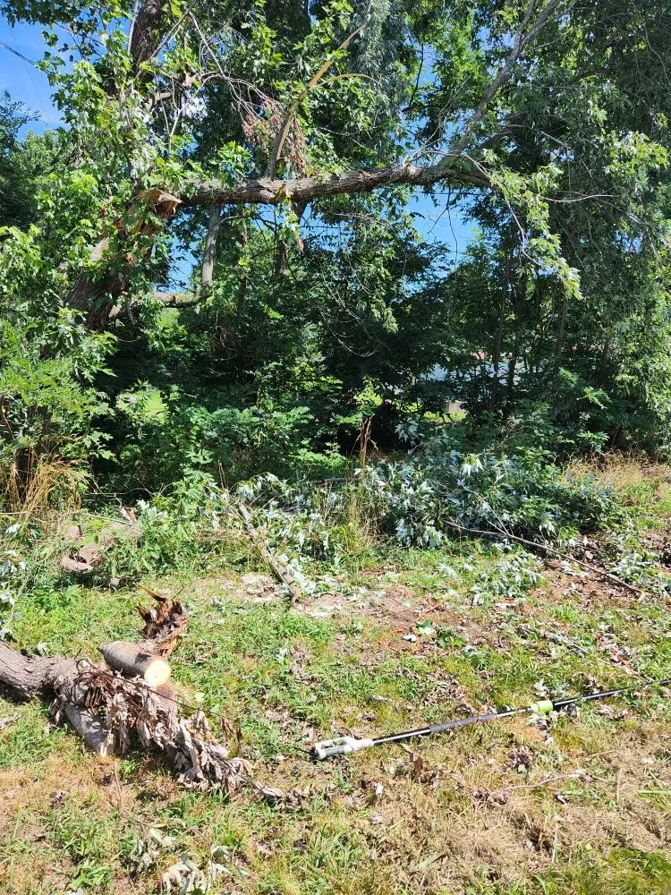 Expert lawn care service in Carl Junction, MO - S&J Lawn care