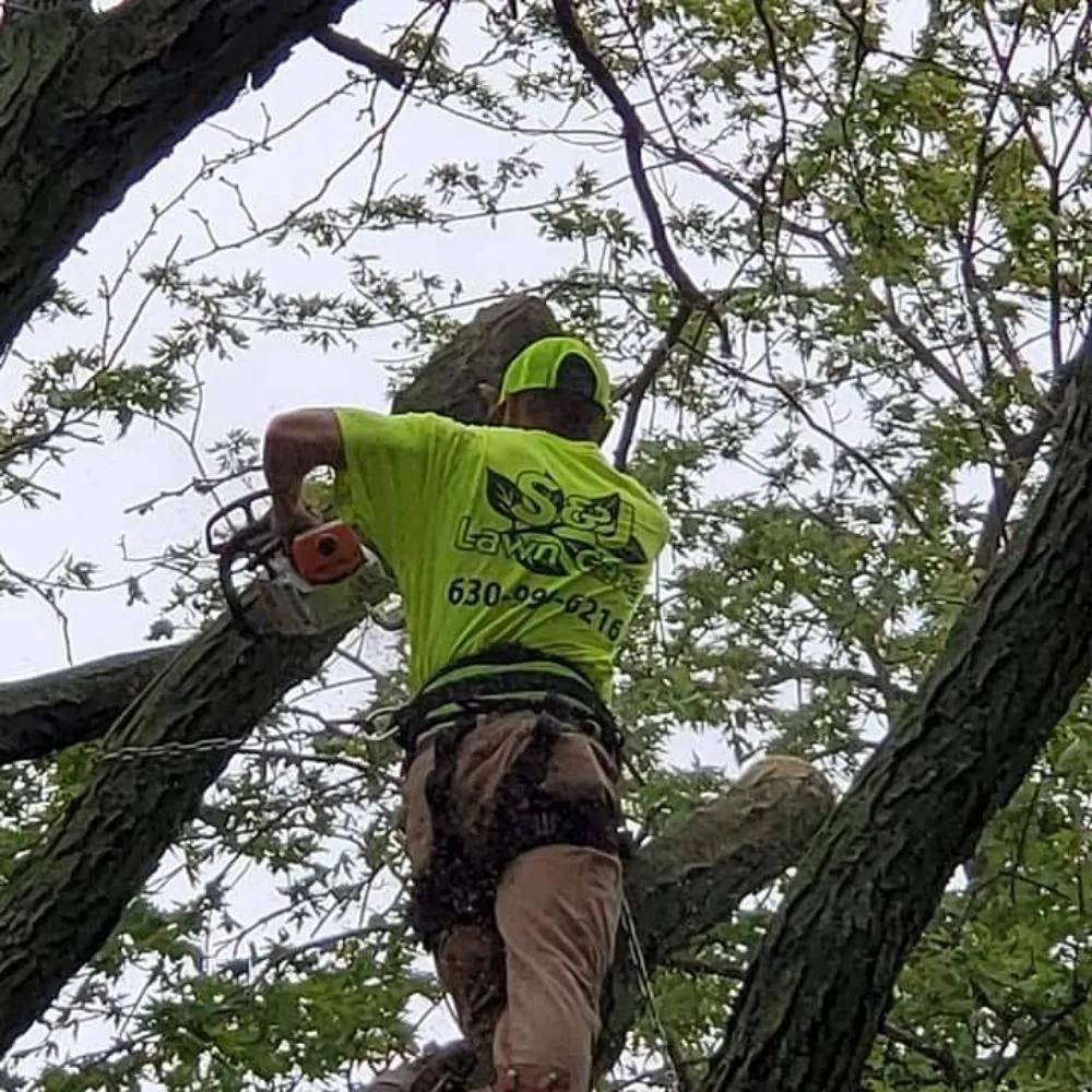 Custom lawn care service experts serving Oswego, IL - S&J Lawn Care