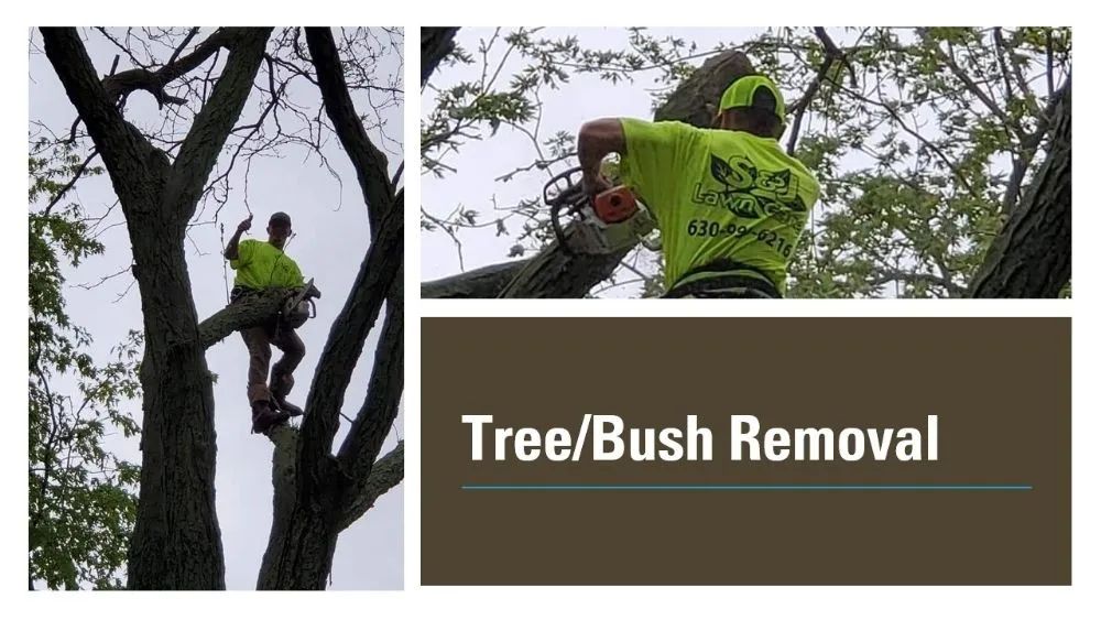 Reliable residential landscaping in Oswego, IL by S&J Lawn Care