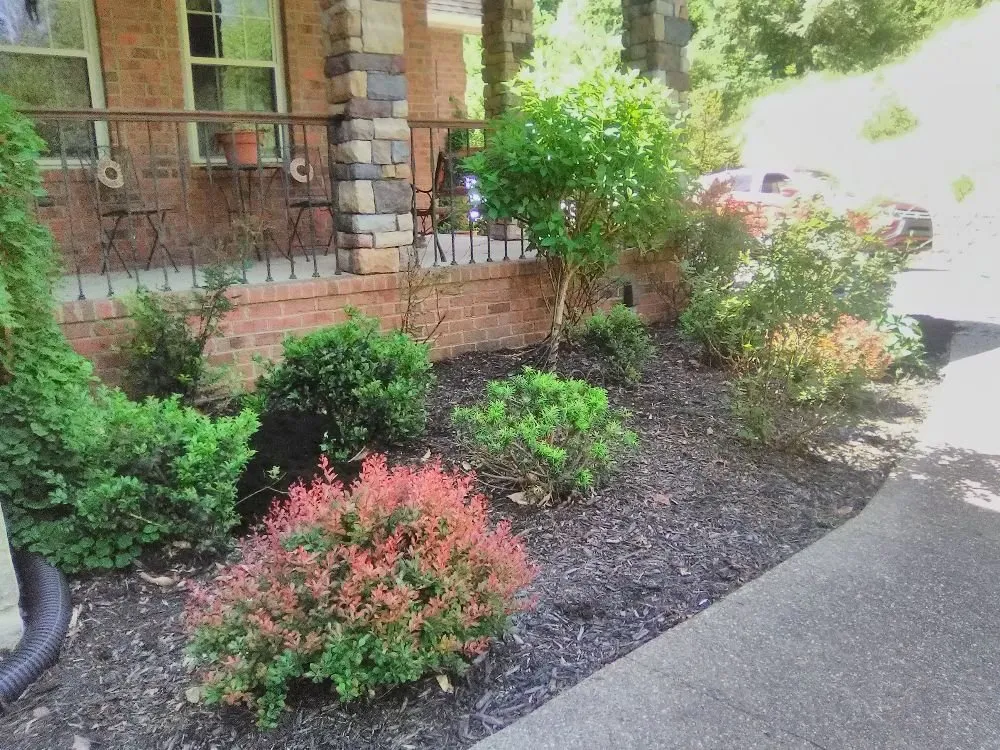 Reliable yard maintenance in st.albans, WV - SJ Lawn Care Service