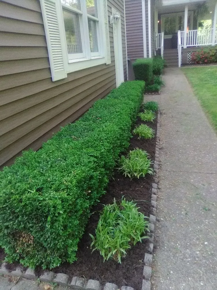 Affordable garden landscaping in st.albans, WV by SJ Lawn Care Service