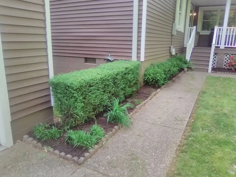 Reliable landscape design in st.albans, WV by SJ Lawn Care Service