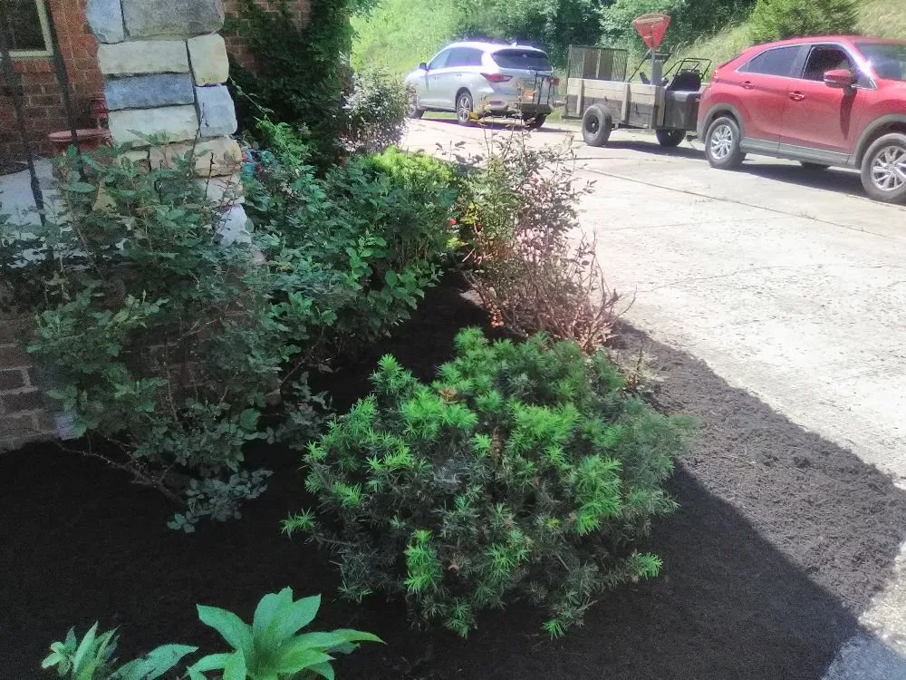 Custom lawn care service for homes in st.albans, WV by SJ Lawn Care Service