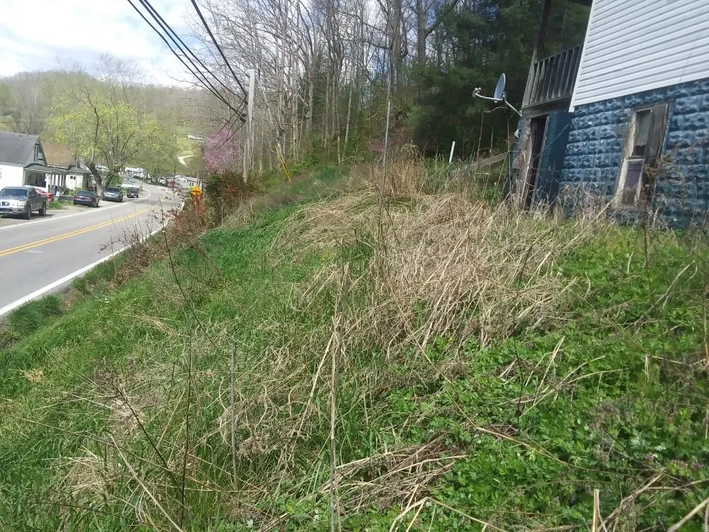 Trusted yard cleanup service in st.albans, WV - SJ Lawn Care Service