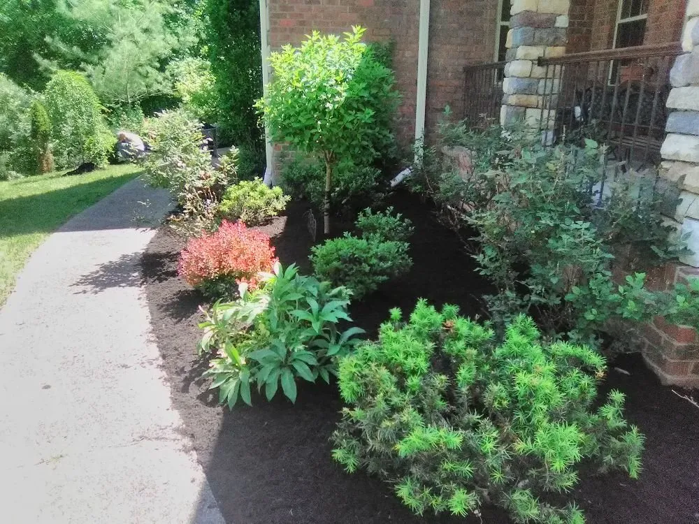 Reliable landscaping services in st.albans, WV - SJ Lawn Care Service