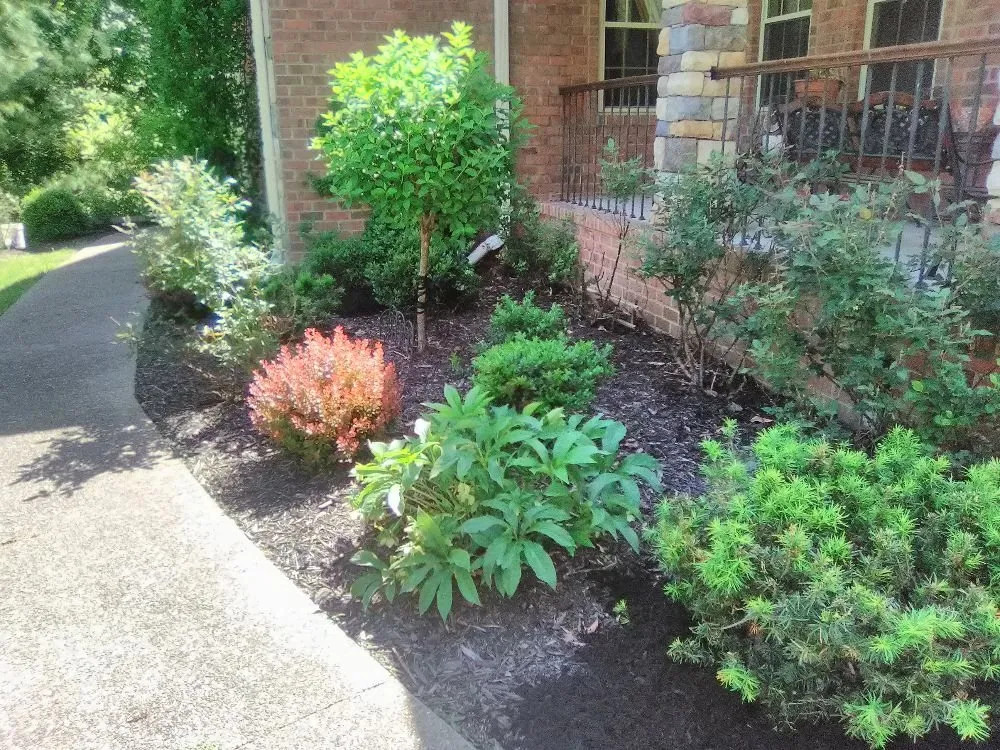 Local lawn mowing service with custom design in st.albans, WV by SJ Lawn Care Service