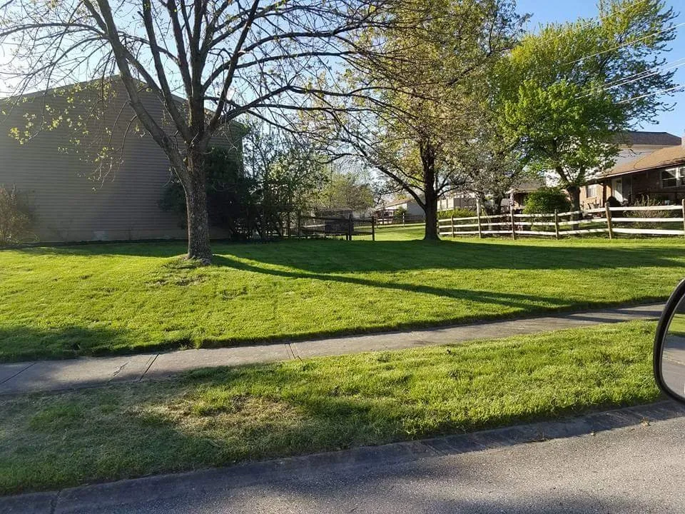 Expert landscaping services for beautiful yards across Cincinnati, OH - S&J Lawn Service