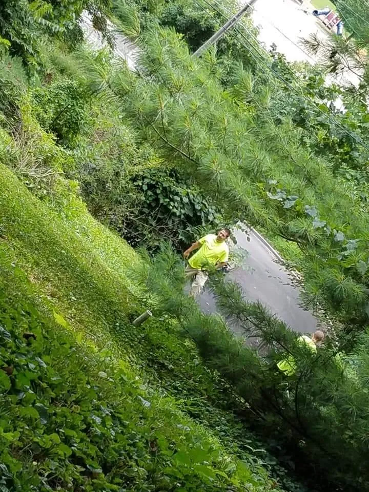 Local lawn mowing service for homes across Cincinnati, OH - S&J Lawn Service