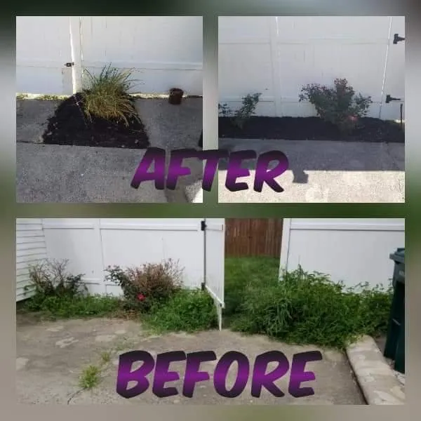Reliable yard cleanup service in Cincinnati, OH - S&J Lawn Service