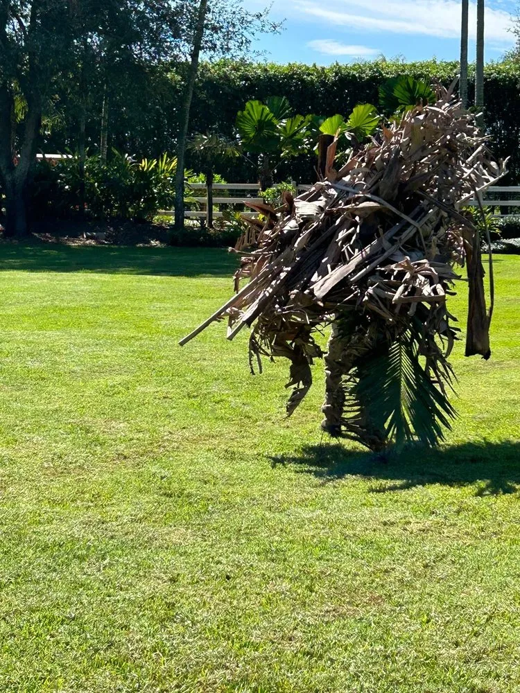 Local landscape design in Fort Pierce, FL by Sj pressure washer and landscaping