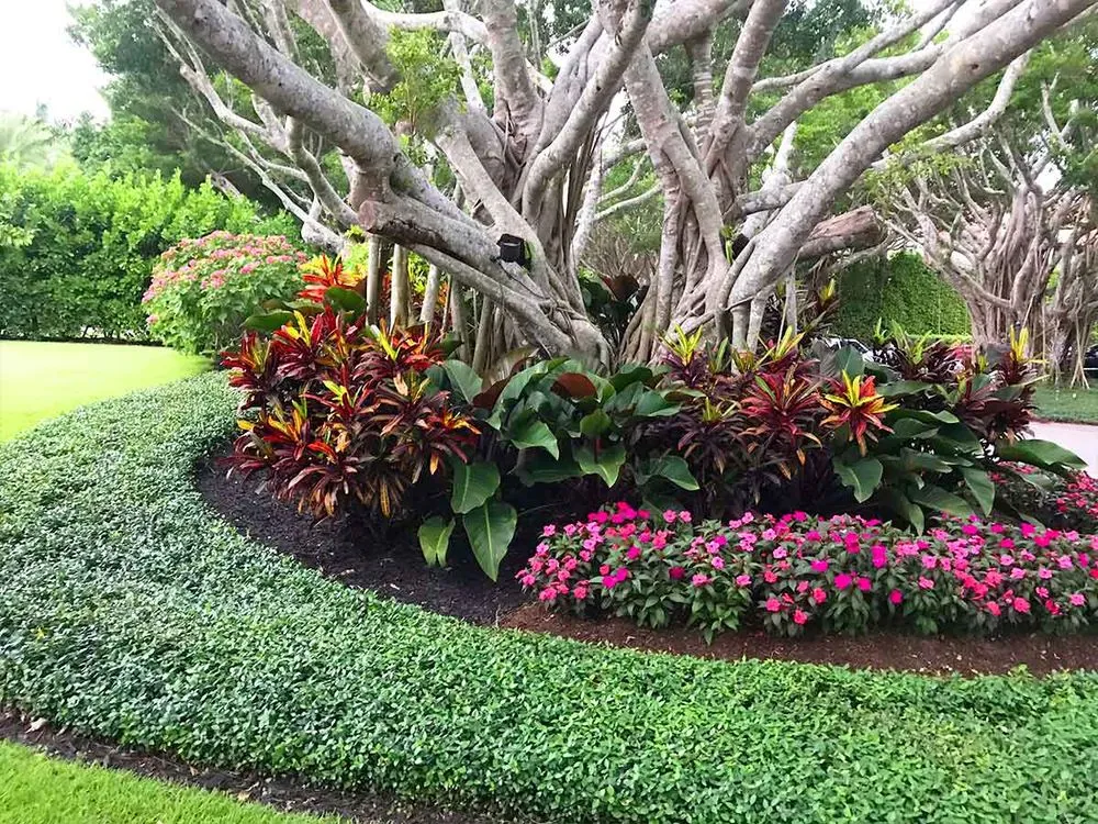 Reliable outdoor landscaping experts serving Fort Pierce, FL - SJ Pressure Washing & Landscaping