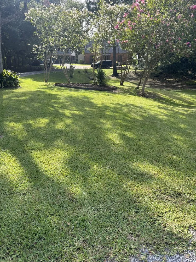 Professional residential landscaping for year-round maintenance in Abbeville, LA by S&J Property Management