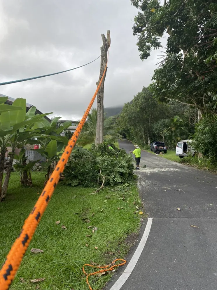 Reliable yard maintenance with custom design across Ewa Beach, HI - SJ Tree & Landscape professionals