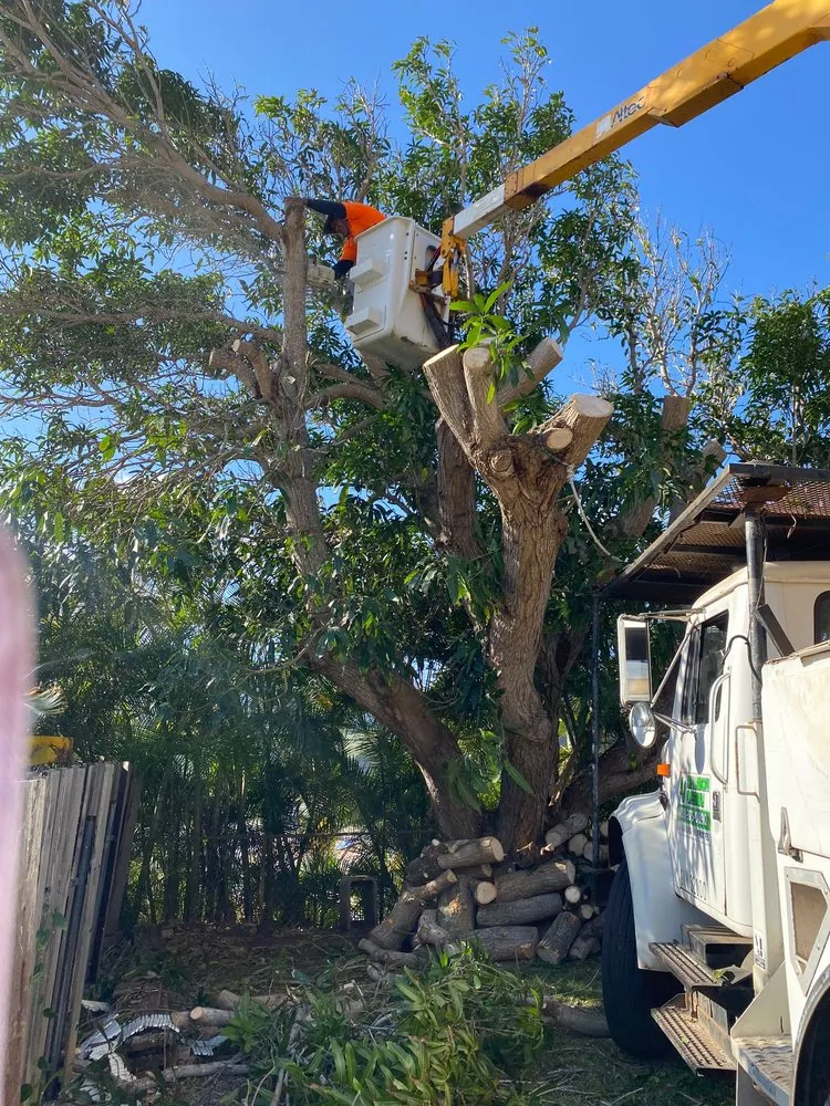 Professional residential landscaping with custom design across Ewa Beach, HI - SJ Tree & Landscape Professionals