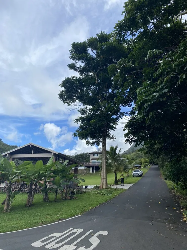 Trusted yard maintenance experts serving Ewa Beach, HI - SJ Tree & Landscape Professionals