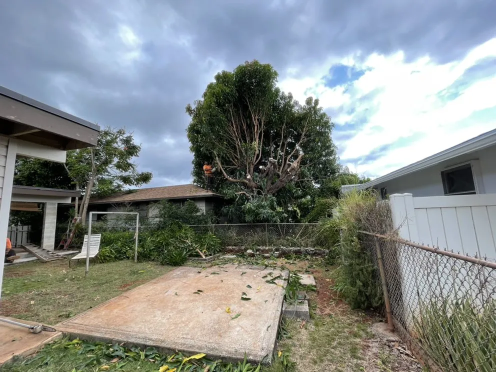 Expert landscaping services in Ewa Beach, HI - SJ Tree & Landscape professionals