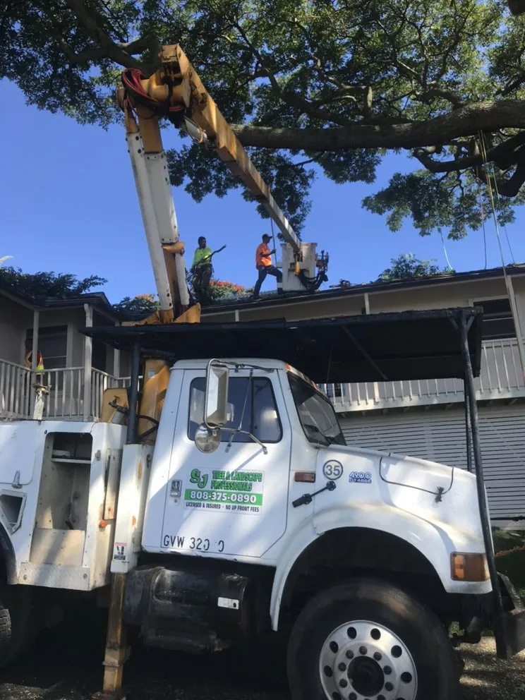 Local lawn care service experts serving Ewa Beach, HI - SJ Tree & Landscape professionals