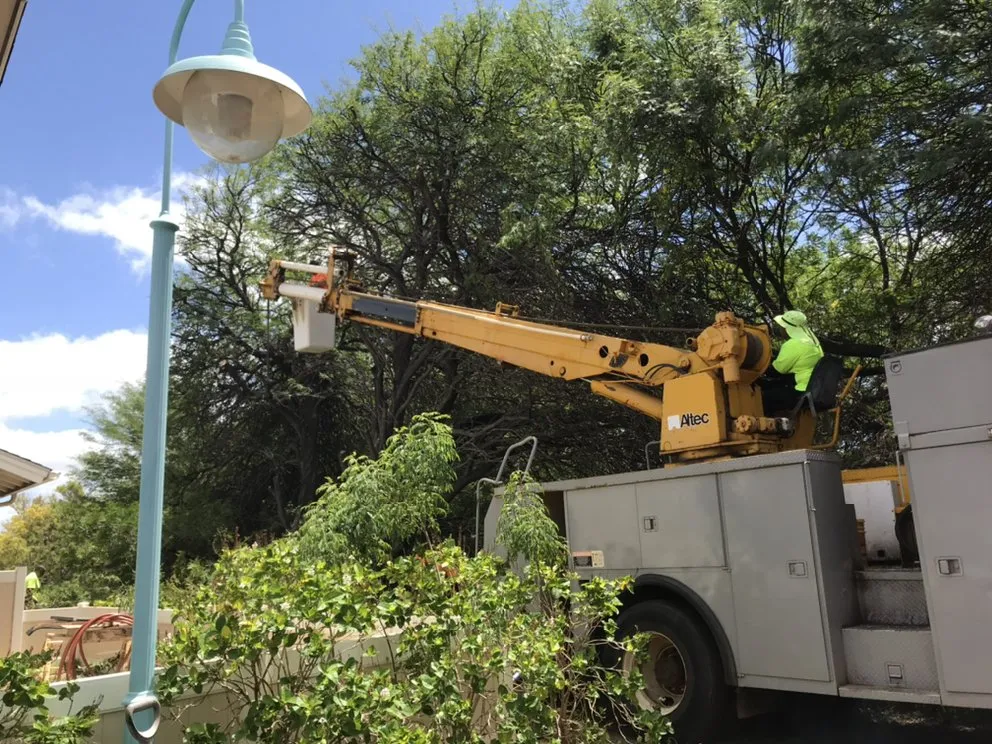 Reliable landscape installation for residential properties across Ewa Beach, HI - SJ Tree & Landscape professionals