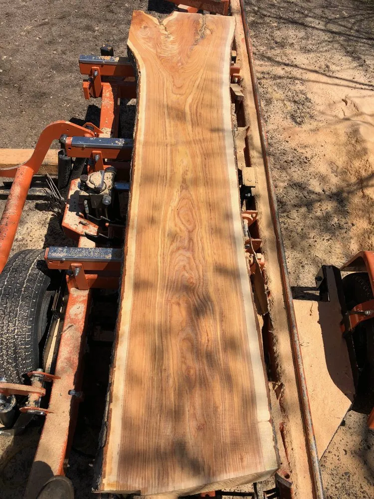 Top-rated landscape installation for beautiful yards across Littleton, CO - SJ Tree Designs