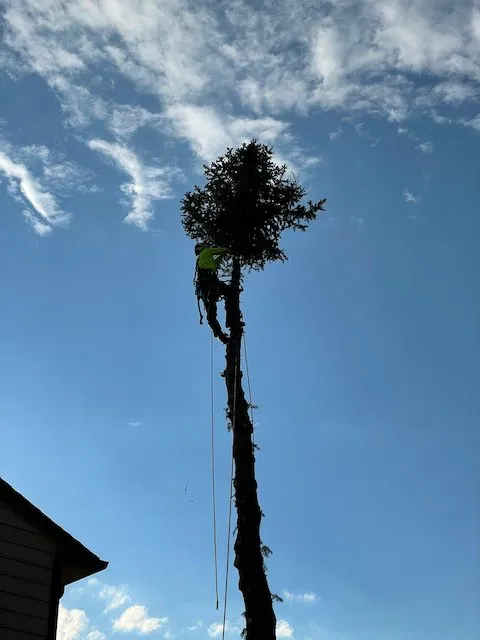 Reliable garden landscaping in Littleton, CO by SJ Tree Designs