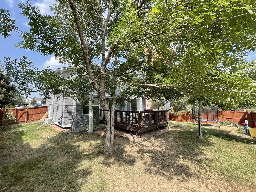 Local lawn mowing service experts serving Littleton, CO - SJ Tree Designs