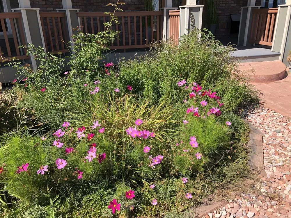 Custom landscape design experts serving Longmont, CO - SJ Ward Landscapes