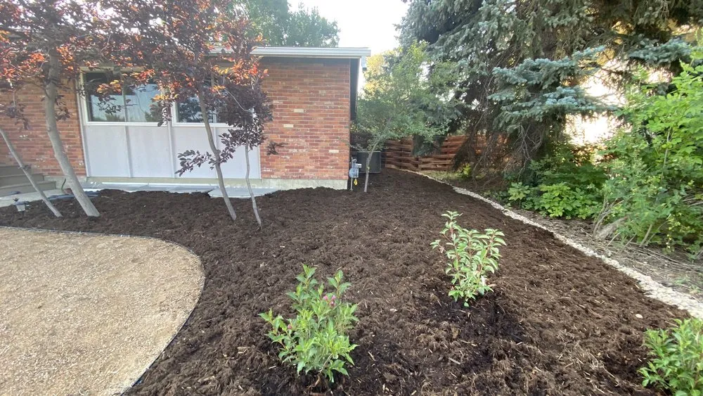 Expert lawn mowing service with custom design in Longmont, CO by SJ Ward Landscapes