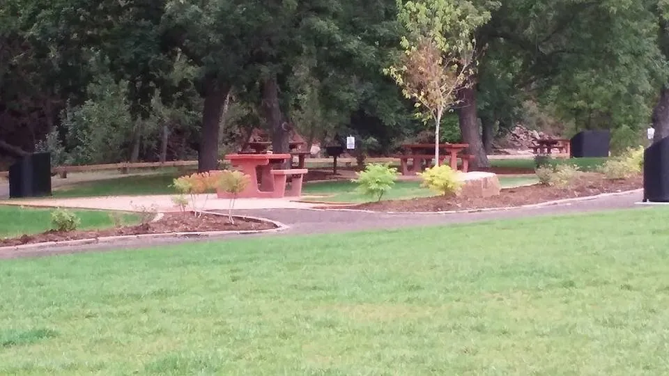 Affordable lawn care service in Longmont, CO by SJ Ward Landscapes