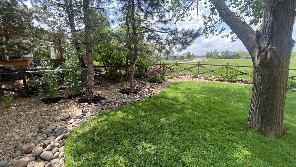 Trusted landscape design for beautiful yards across Longmont, CO - SJ Ward Landscapes
