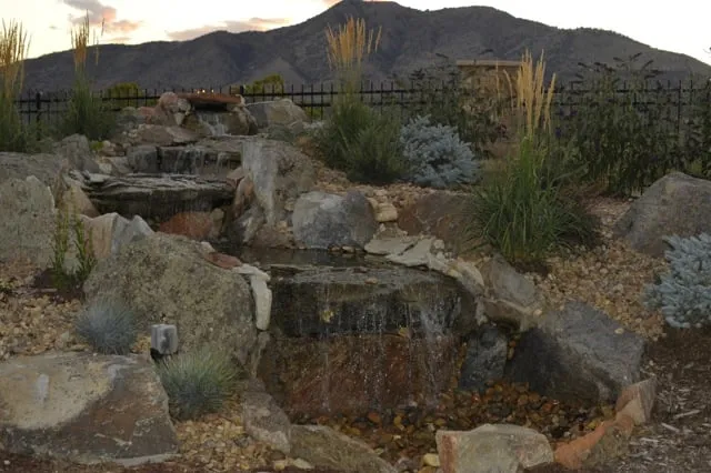 Trusted yard cleanup service in Longmont, CO by SJ Ward Landscapes