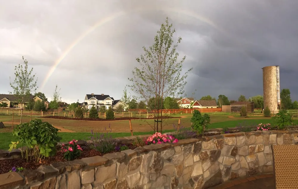 Top-rated residential landscaping for homes across Longmont, CO - SJ Ward Landscapes
