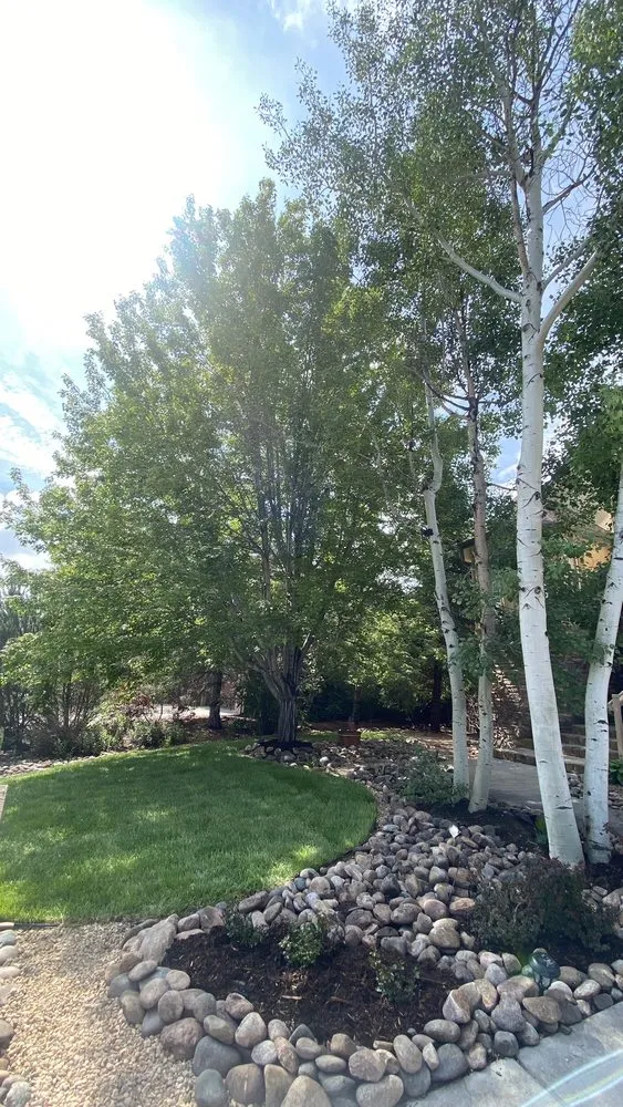 Reliable lawn care service in Longmont, CO by SJ Ward Landscapes