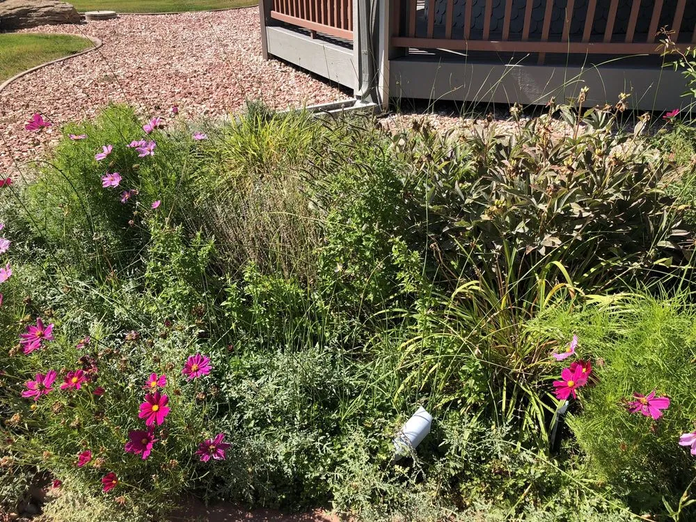 Custom landscaping services experts serving Longmont, CO - SJ Ward Landscapes