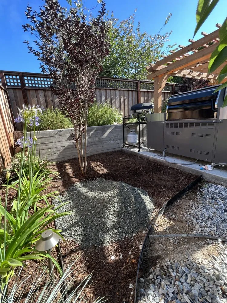 Affordable lawn mowing service in Napa, CA - SJ Yard Works