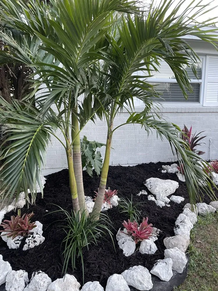Local landscaping services near you in Brooksville, FL by SJB Abundance Landscaping