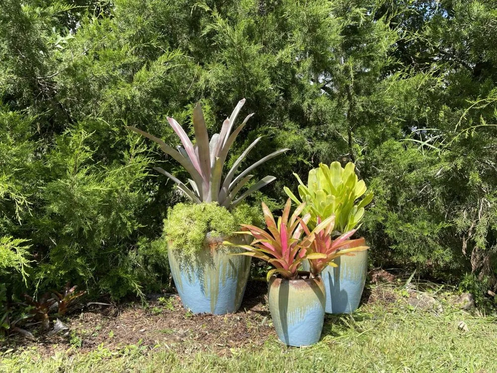 Expert lawn mowing service in Brooksville, FL by SJB Abundance Landscaping