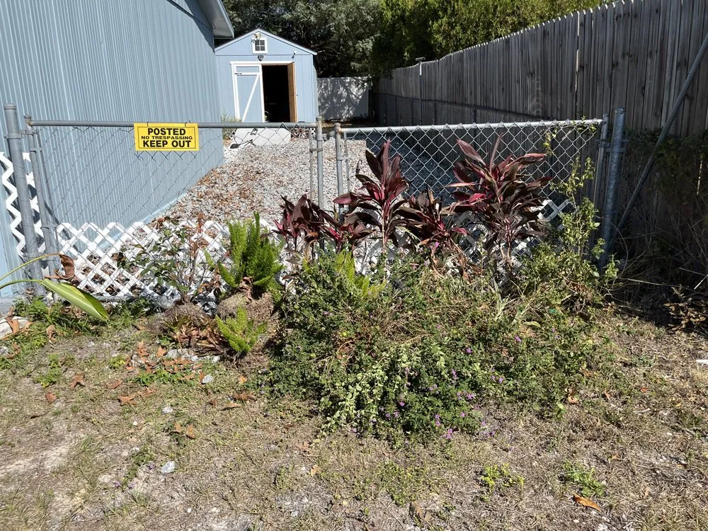 Expert landscape design in Brooksville, FL by SJB Abundance Landscaping