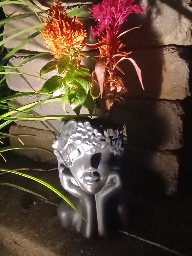 Local lawn care service for year-round maintenance across Alexandria, KY - Sjgr4 Show