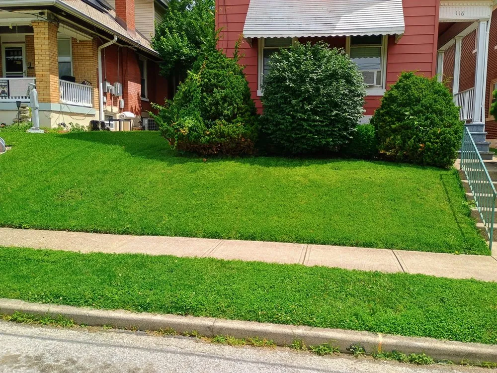 Top-rated outdoor landscaping experts serving Alexandria, KY - Sjgr4 Show