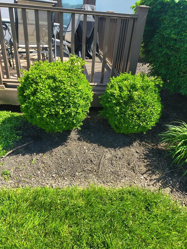 Professional yard cleanup service in Fort Wayne, IN - SJH Family Lawn care